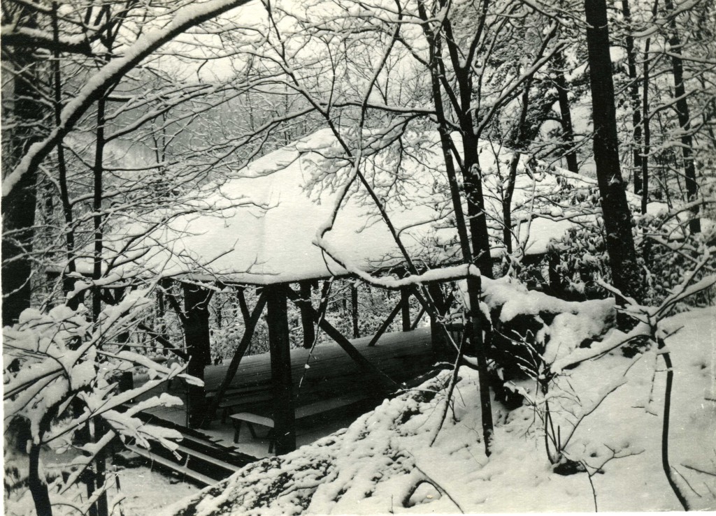 House in the Woods pavilion in the snow. II_2_early_days_122a.jpg