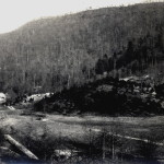 Laurel House I ; PUBLICATIONS RELATED Mr. Napiers Observations on Pine Mountain