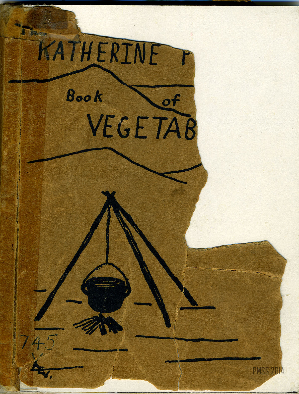 Katherine Pettit Dye Book