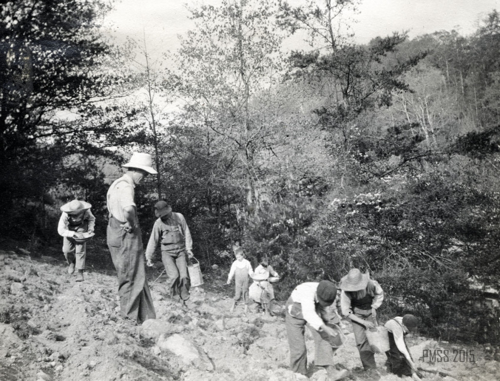019b P. Roettinger Album. "Planting cow-peas in new ground." [One man and seven children planting on a hillside.]