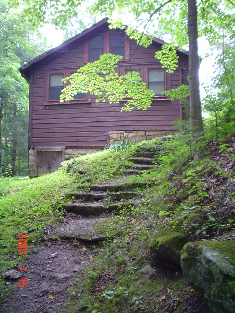 HISTORY PMSS Summary 1988-1989