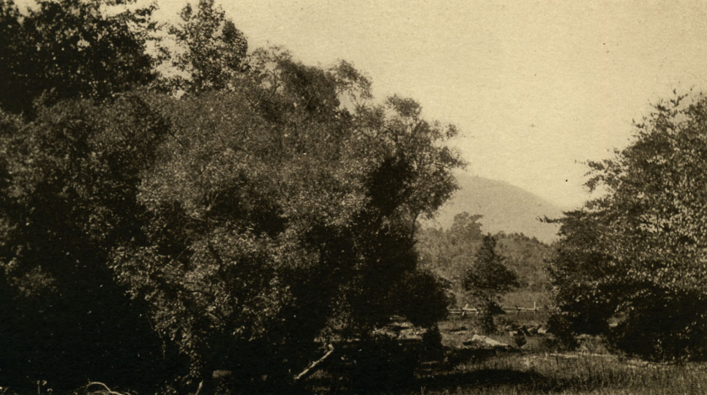 MARGARET McCUTCHEON Board