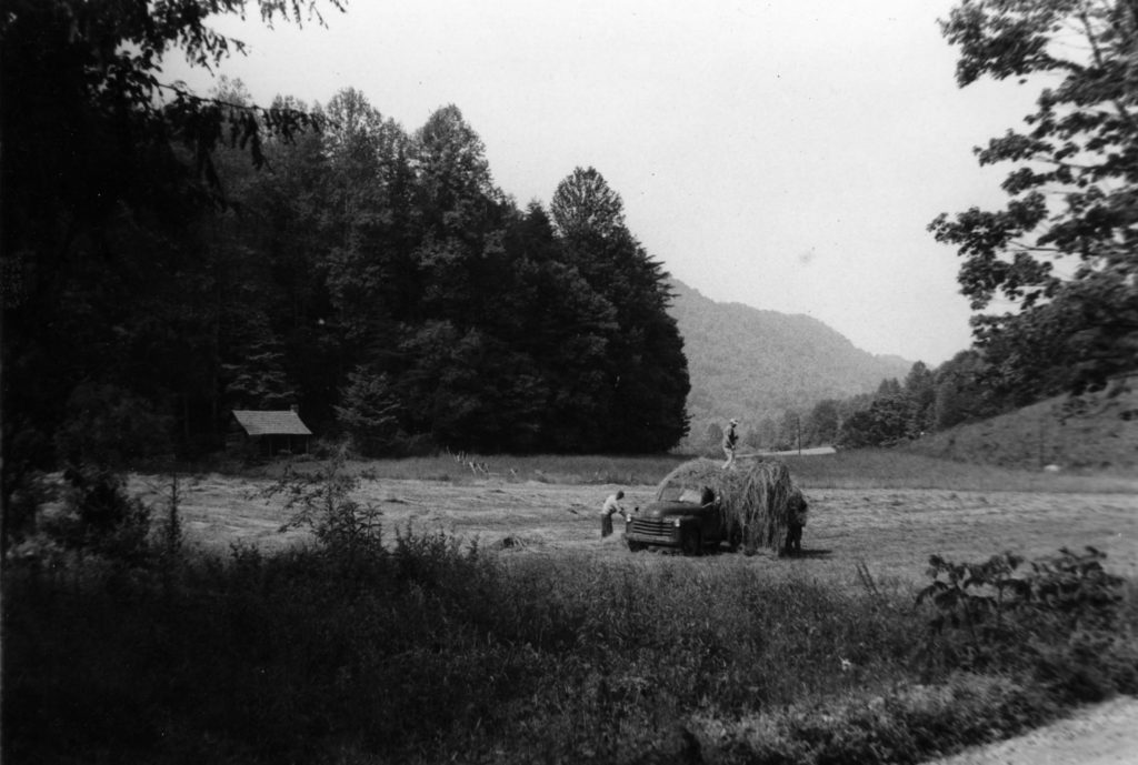 ALBERT G. WEIDLER Economics of Berea College and Territory 1940