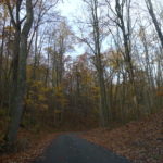 Laden Trail, South side of Pine Mountain