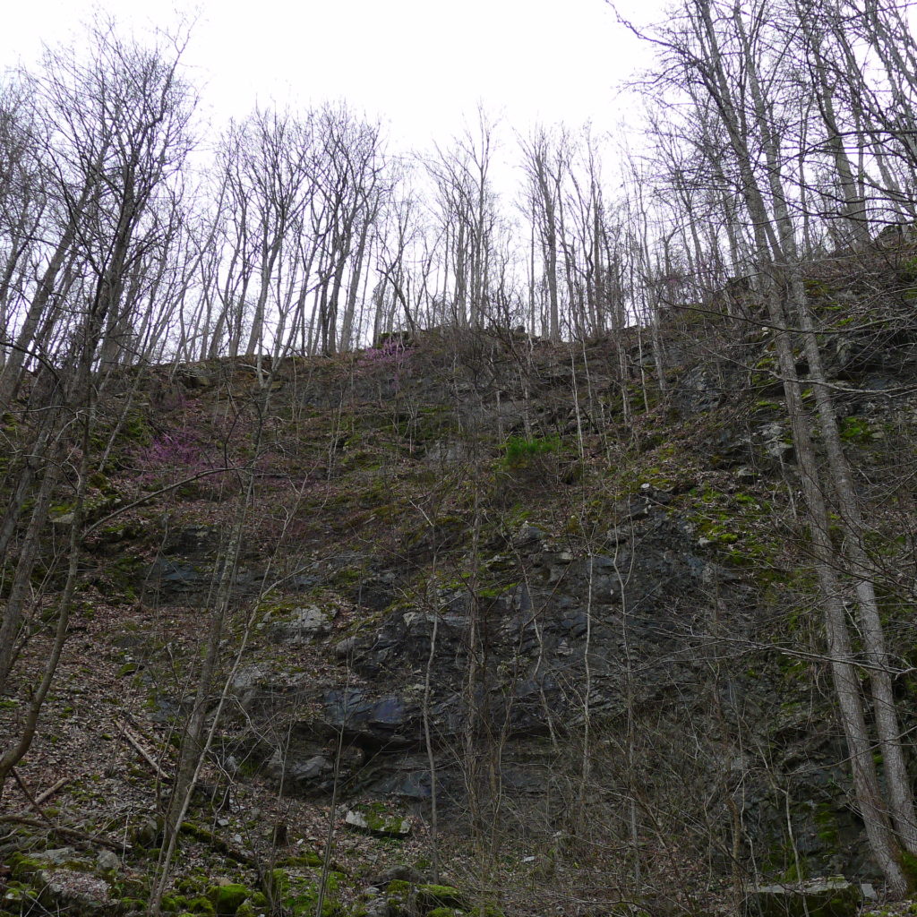 Laden Trail or the Road Photo Gallery