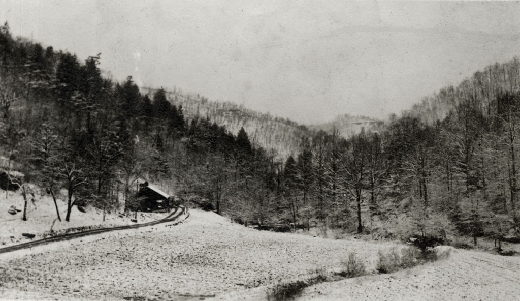 ALICE COBB Snaps Photo Album