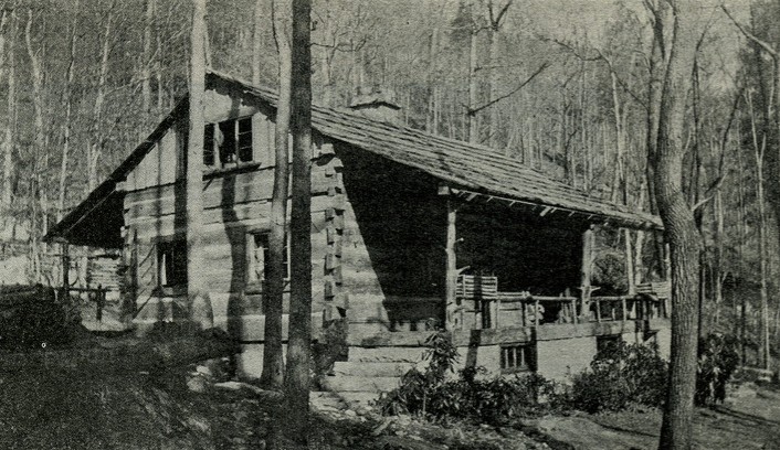 CLARA DAVIS Staff