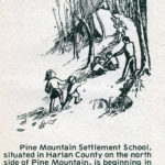 ENVIRONMENTAL EDUCATION Brochure 1