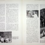 ADELE BRANDEIS Pine Mountain Settlement School 1951 & Brochure