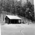 ARCHIVE 2023 Past Digital Additions