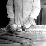 VIRGINIA AND RAY GARNER 110 Photograph Stills for PMSS Film 1941 Set 1