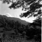 VIRGINIA AND RAY GARNER 110 Photograph Stills for PMSS Film 1941 Set 1