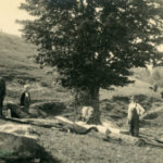 MARGARET MOTTER Album (Black Cover) Single Images